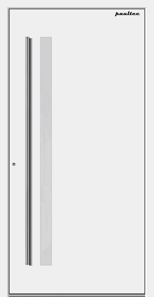 B003 - Flügelüberdeckende ALU Haustür – Bild 2