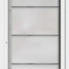 Typ 6203-05 Rodenberg Premium Ganzglas-Haustürfüllung