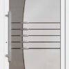 Typ 6277-02 Rodenberg Premium Ganzglas-Haustürfüllung